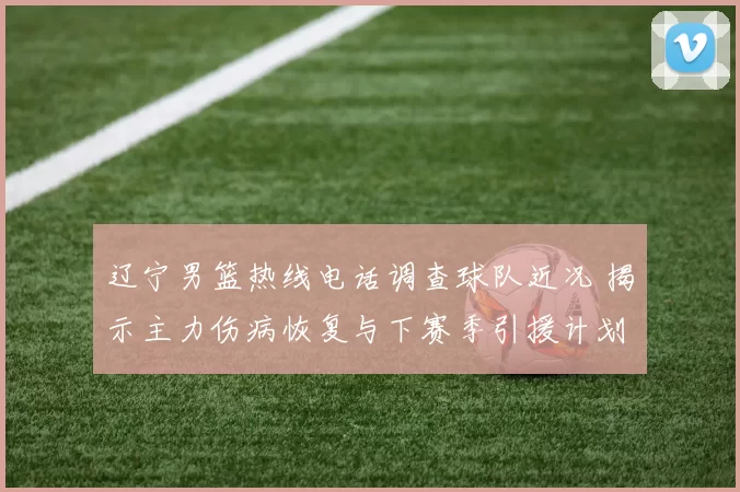 辽宁男篮热线电话调查球队近况 揭示主力伤病恢复与下赛季引援计划
