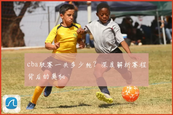 cba联赛一共多少轮？深度解析赛程背后的奥秘