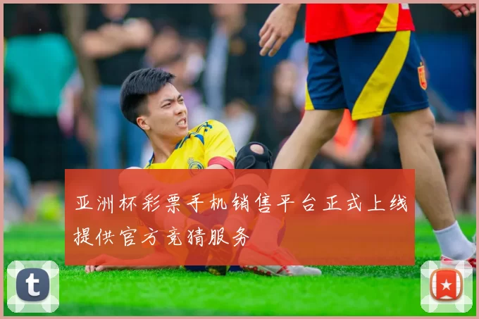 亚洲杯彩票手机销售平台正式上线提供官方竞猜服务
