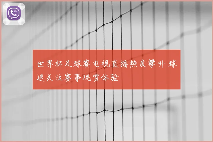 世界杯足球赛电视直播热度攀升 球迷关注赛事观赏体验